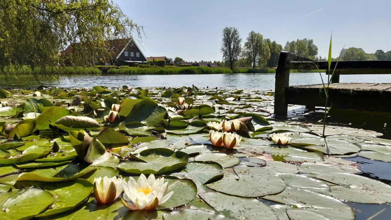 Stellechalets Op Stelleplas - Guest house *